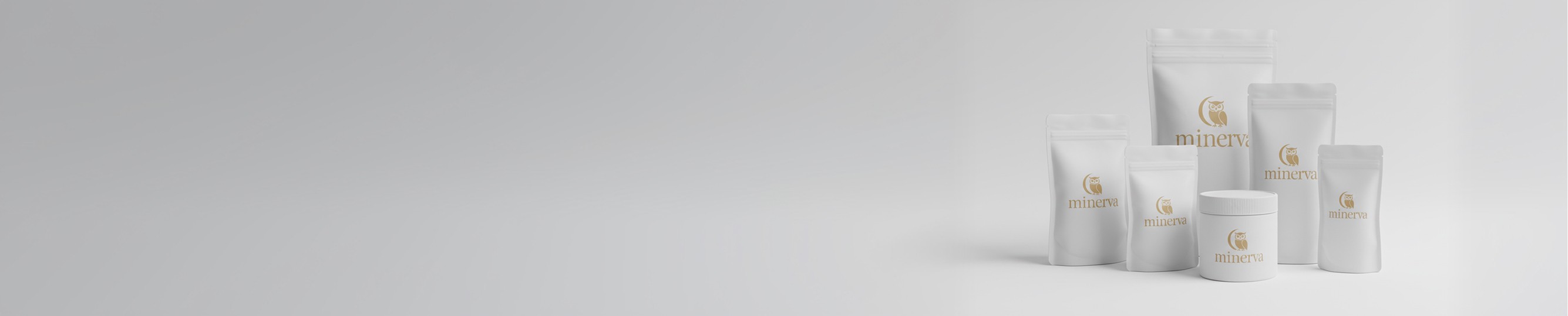 blog banner